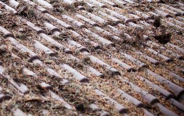 Wilsham roof cleaning companies