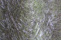 Wilsham fibreglass roof work